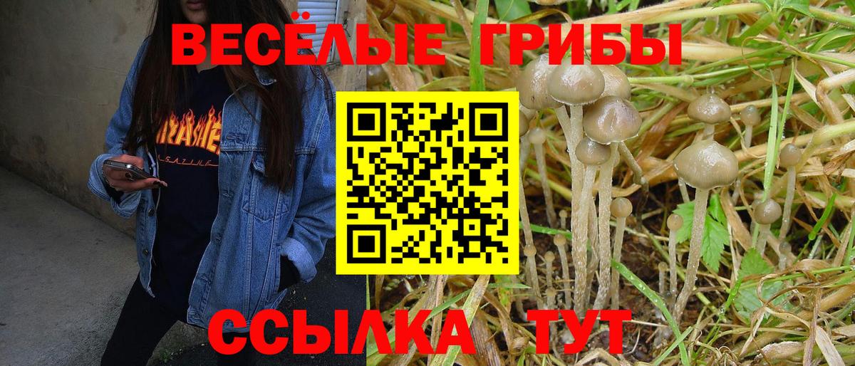 Псилоцибиновые грибы GOLDEN TEACHER Каменск-Шахтинский